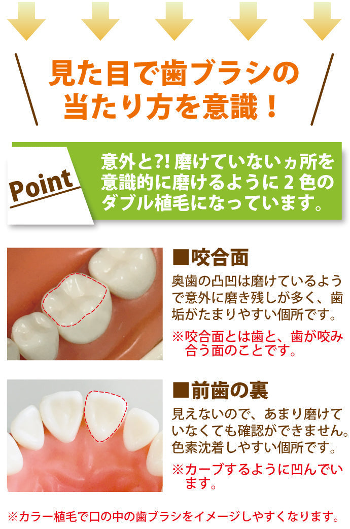 歯ブラシ まとめ買い Ci PRO PLUS（プロプラス） Sやわらかめ 50本入り