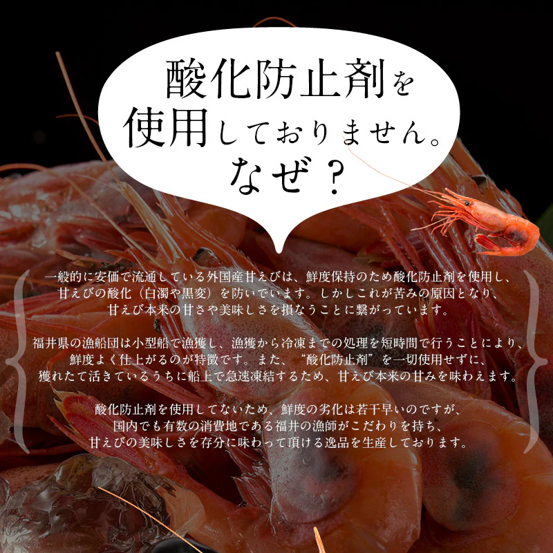 越前産 甘えび 子持ち 大サイズ 1kg（500g×2箱）80～90尾入り 刺身用 甘エビ［送料無料］産地直送 海鮮 エビ セット 海老 大 美味しい 大きい えび 冷凍えび 冷凍エビ 贈り物 贈答 母の日 プレゼント ギフト  母の日思いの 健康 実用的 父の日 子供 孫