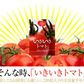 【大容量★約6ヶ月分】healthylife いきいきトマトDay＆Night【リコピン凝縮 飲むだけ スリム 健康サポート ビタミン 夜トマト ダイエット ダイエットサプリ サプリ トマト 美容 夜スリム カロテン カロチン リコペン ランキング ラクトフェリン リコピン 夜トマトダイエット ミネラル 食物繊維 トマトパウダー 黒酢パワー 水溶性食物繊維 おすすめ 人気 ランキング 効果 強力 最強 通販 日本製 国産