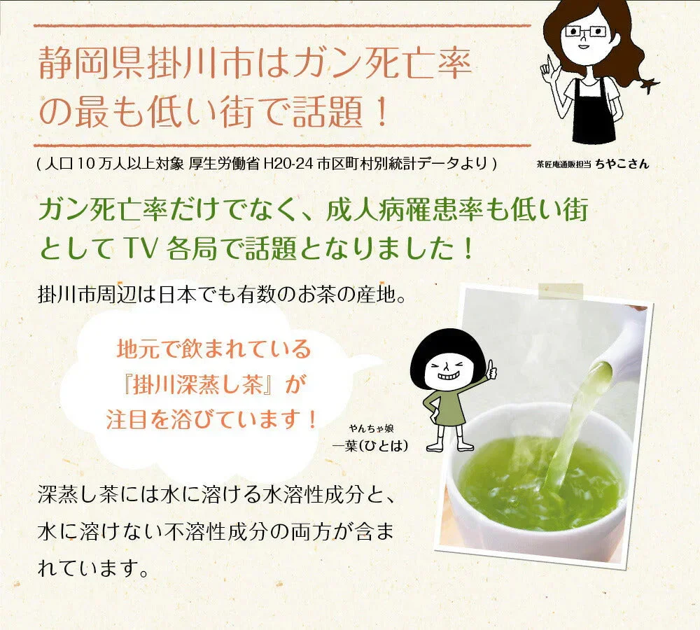 【2個セット】日本橋いなば園 静岡深蒸し茶 掛川茶 100g メール便 送料無料