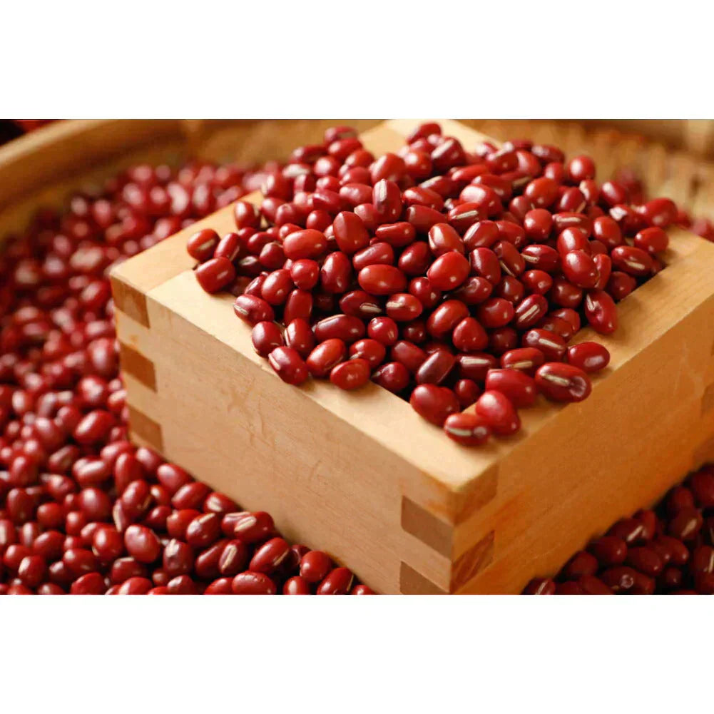 小豆 北海道産 950g 令和6年産 2等級チャック付袋