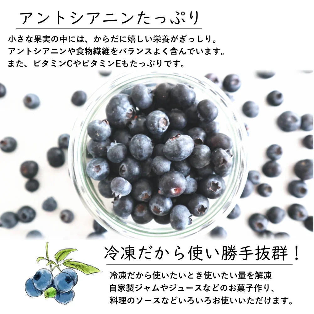 冷凍ブルーベリー　約2kg前後 （1kg×2袋入り）旬のフルーツを瞬間冷凍ベリーの旨みを閉じ込めましたヨーグルト、アイス、ジャム、お菓子作りにも最適