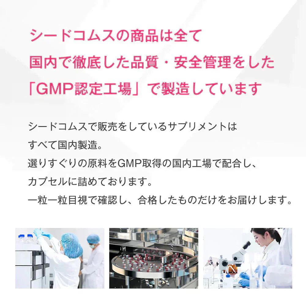 栄養機能食品　亜鉛＆鉄 《約12ヶ月分》1カプセルで亜鉛10mg 鉄10mg同時補給 ミネラル サプリ サプリメント 鉄分【大容量】