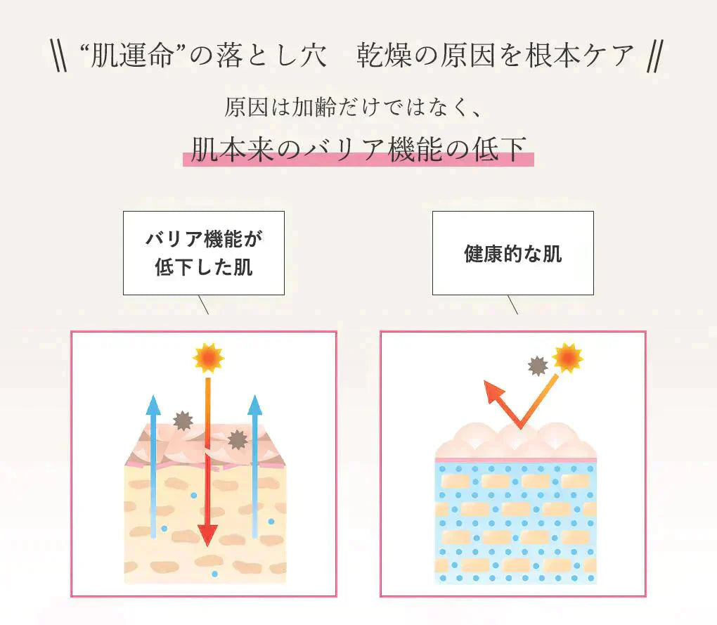 ヒアルロン酸スキンローション plus 600ml◆ 化粧水 おすすめ 潤い 美白 大容量 お徳用 スキンケア メンズ 男女兼用 無添加 無香料 乾燥肌 敏感肌 保湿 敬老の日 母の日