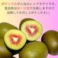 甘さピカイチ！　愛媛県産　レッドキウイ　レインボーレッドと同品種　2Kg（風袋込み）