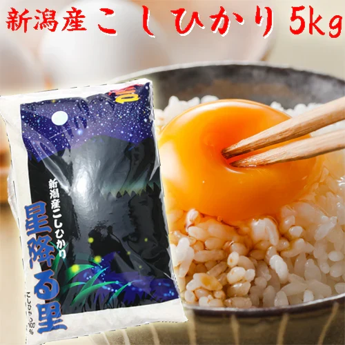 新米 令和8年 玄米 5kg 送料無料 米 5kg 新潟産 コシヒカリ 玄米 5kg 玄米5kg 新潟県産 こしひかり ５キロ 産地直送 美味しいお米 玄米 農家