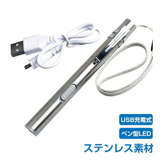 ペンライト LED ステンレス USB 充電 防災 作業灯 警告灯 クリップ ストラップ 【防災グッズがお得】