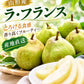 洋梨 ラ・フランス 5kg 山形産 フルーティーに香り立つ とろける甘さ ラフランス （発送予定:10月下旬より）