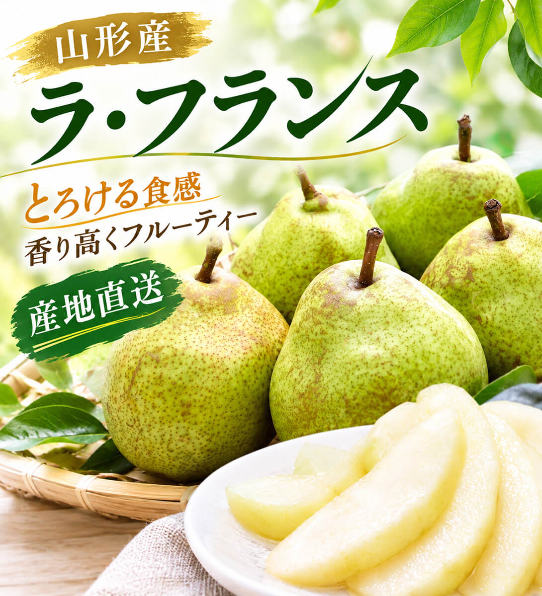 洋梨 ラ・フランス 5kg 山形産 フルーティーに香り立つ とろける甘さ ラフランス （発送予定:10月下旬より）
