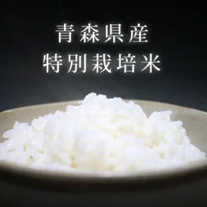 【胚芽米】無農薬＆化学肥料不使用　特別栽培米 お米 あきたこまち５kg