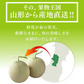【贈答用】 山形県産 砂丘メロン(品種おまかせ)約2.5kg・2玉入り※一部地域は別途送料【のし対応】