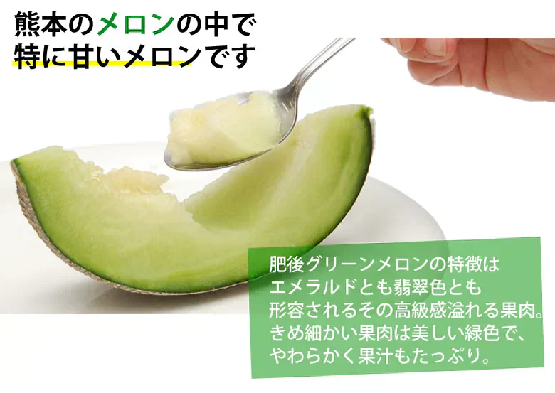 メロン 肥後グリーンメロン 送料無料 2玉 約3～4kg M～3L 熊本県産 肥後グリーン