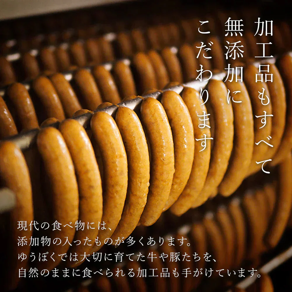 ゆうぼく無添加ハムソーセージセット 詰合せ【送料込み】