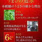 キリン 本麒麟 350ml×2ケース/48本
