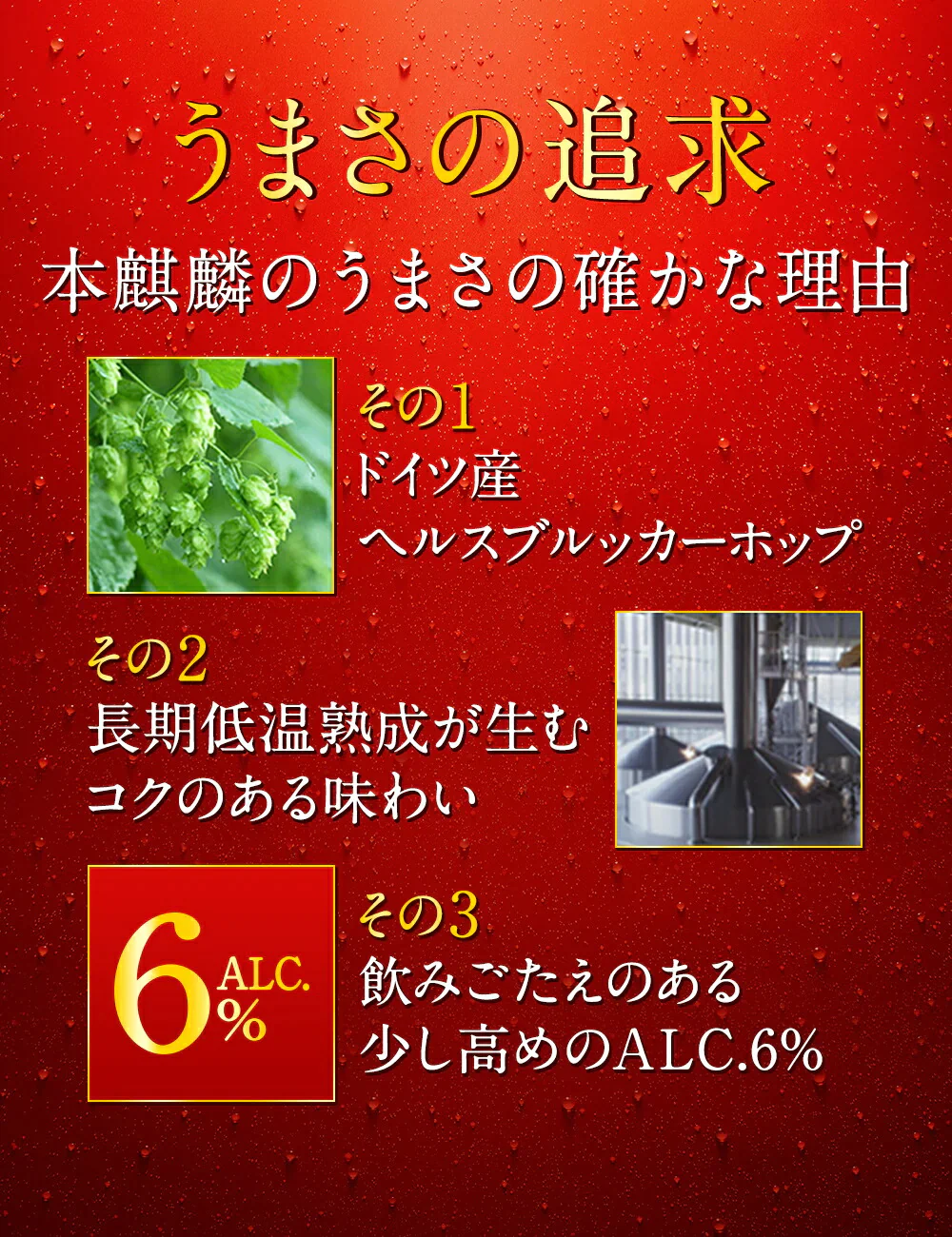 キリン 本麒麟 350ml×2ケース/48本