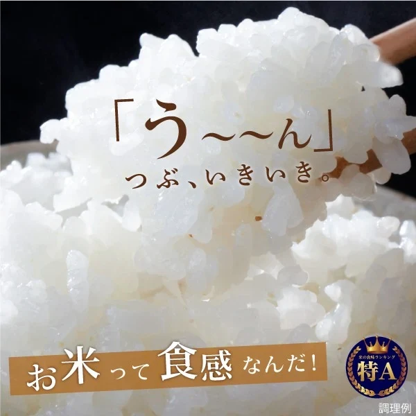 数量限定 米 お米 山形県産 雪若丸 2合300g 2年連続特A評価 食品 お試し お取り寄せ グルメ 特産品 通販 産直 送料無料 メール便