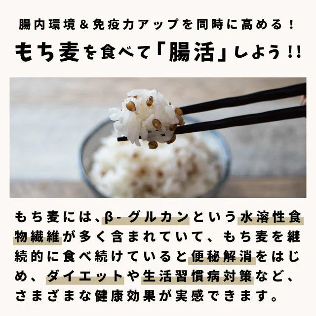 国産 皮つき 紫 もち麦 プチコさん 900g からだにいいこと大賞準大賞 ダイシモチ アントシアニン 腸内環境 食物繊維