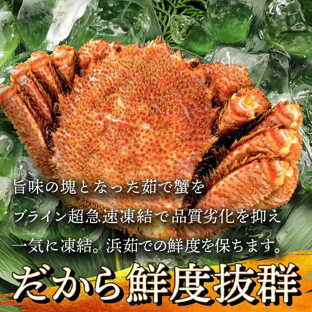 20%OFF★北海道産 浜茹で毛蟹 約570g×1尾【本州～九州エリア送料無料】