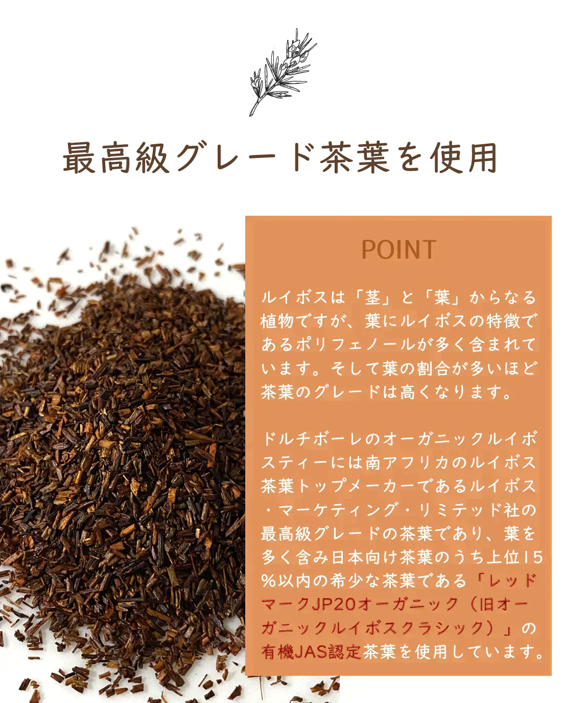 ドルチボーレ オーガニック ルイボスティー 1.8g×100個 レッドマークJP20 ルイボス茶葉 ルイボス ソイロン
