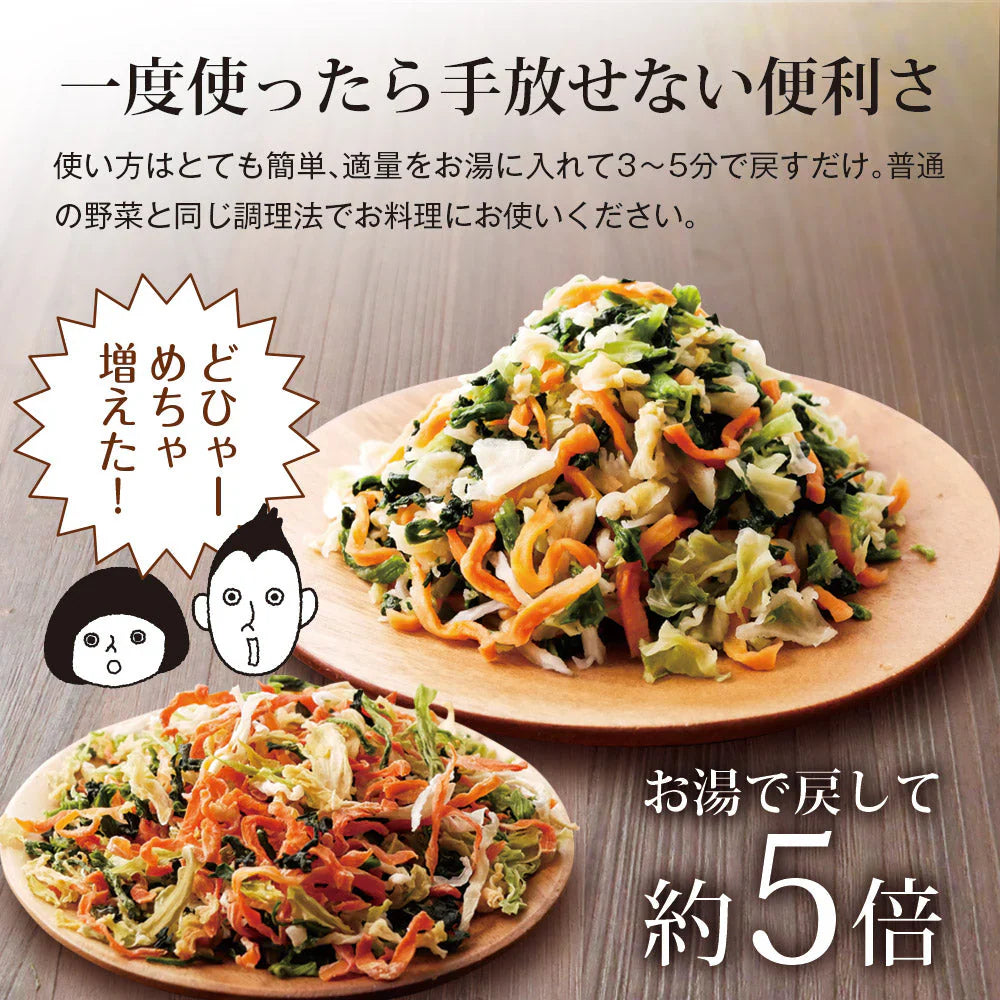 日本橋いなば園 九州産野菜使用 乾燥野菜ミックス 100g ネコポス メール便送料無料