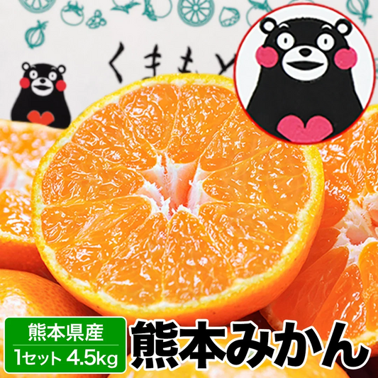 【販売解禁】熊本 みかん 訳あり 4.5kg 熊本県産 熊本 小玉 不選別 みかん 家庭用 送料無料 早生 ミカン フルーツ お取り寄せ 柑橘 フルーツ 果物  《11月上旬ー11月下旬に出荷予定》