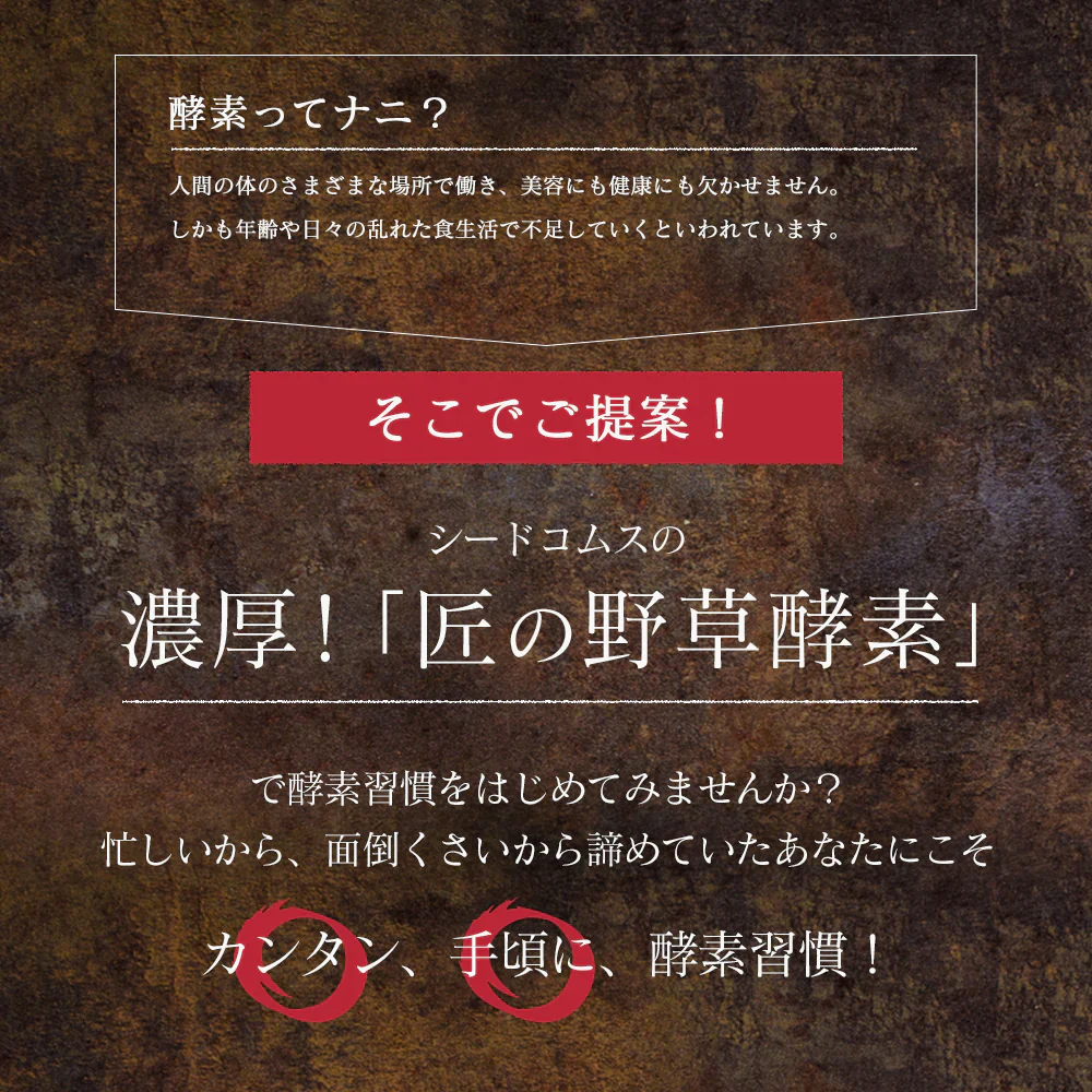 匠の野草酵素《約3ヶ月分》  送料無料 サプリ サプリメント 酵素 野草酵素 健康  スーパーフード 健康食品 野菜不足 乳酸菌 ダイエット 美容 ビタミン ビタミンC【大容量】