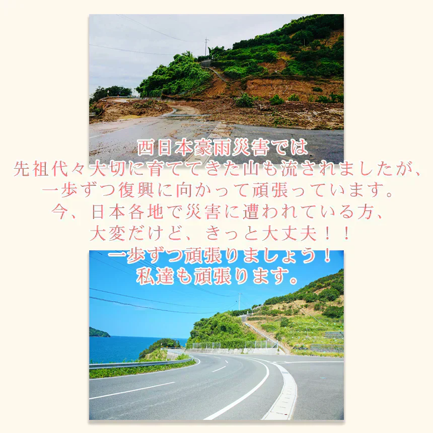 みかん　精品　吉田みかん　１０ｋｇ　Ｓ吉１０　贈答用　精品　中玉　Ｌか２Ｌのいずれかのサイズ揃えで約６０玉前後　ミカン　蜜柑　フルーツ　果物　柑橘　贈答用　贈物　贈答　お歳暮　送料無料