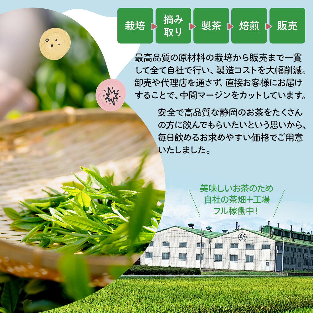 太陽さんさん 赤ちゃん番茶 ティーバッグ 5ｇ×50個入 ノンカフェイン ほうじ茶 マタニティ  水出し お茶 妊婦 カフェインフリー 赤ちゃん お茶 ティーパック 飲料 ベビー飲料 妊婦 妊娠 ママ 送料無料 パック