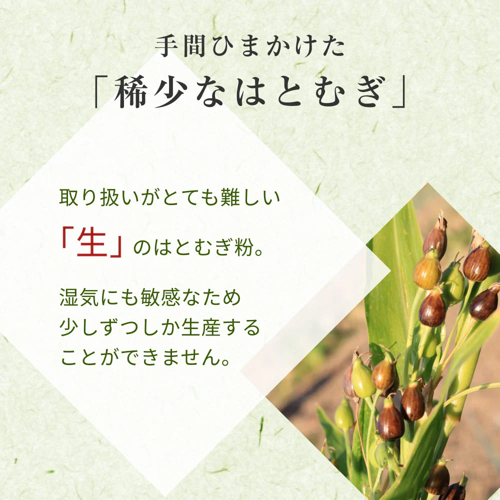 風土日和 国産 純白 はとむぎ粉 残留農薬検査済 無添加 300g 賞味期限：2025年7月31日 カウシェ限定 | オーガライフ