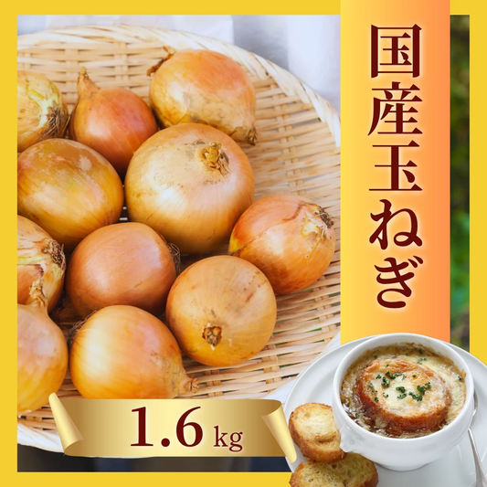 【規格外品】国産たまねぎ1.6kg（最低保証1.5kg）サイズランダム　玉葱 玉ねぎ タマネギ サラダ カレー 和食 野菜 惣菜 送料無料【カウシェファーム収穫対象商品】