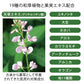 薬用しろぽつクリーム 【はと麦凝縮 薬用特濃クリームで目元のしろぽつを集中ケア】目元 ポツポツ 薬用クリーム 医薬部外品 集中ケア ハトムギ はと麦 和草植物 甘草エキス 目の周り 白い ポツポツ 集中ケア いぼ イボ 顔 目元 クリーム 日本製いやな目元の角質粒に しわ しみ たるみ 黒ずみ だるみ こじわ ハリ感 目尻 美容液 コラーゲン おすすめ 人気 ランキング 角質粒 顔 首 肩 胸 美容 ケア お肌 ボディケア ぶつぶつ