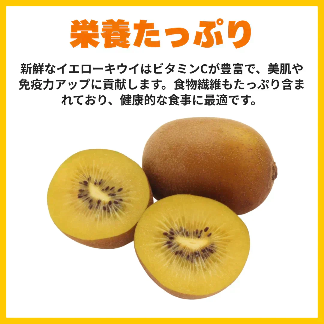 【商品リニューアル＆予約販売10月中旬から発送】おトクで美味しい！　愛媛県産　イエローキウイ【ゴールドキウイと同一品種】1.3Kg　キウイフルーツ