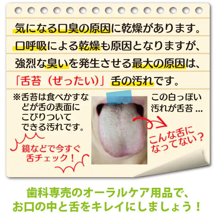 泡のオーラルケア3点セット【歯科専売品：ゼクリンブラック1本・CiオーラルフォームF(80mL)・デザイン歯ブラシゼブラシ(1パック2本)3点セット】【メール便送料無料】