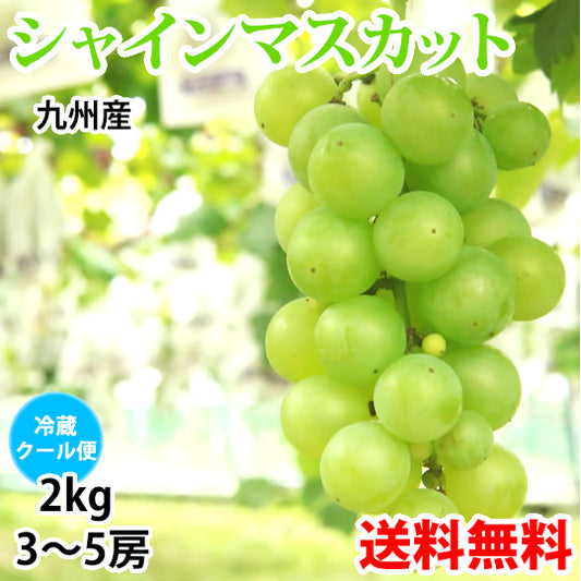 【7月下旬～8月上旬頃より順次出荷】シャインマスカット ぶどう 送料無料 2kg 3〜5房 九州産 マスカット 葡萄 ブドウ