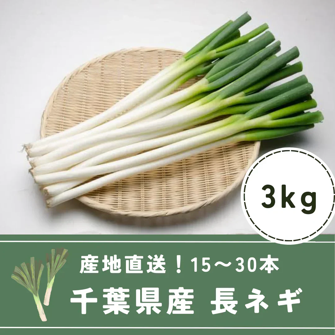 長ネギ 3キロ（15本以上） 有名ホテル･大手チェーン店も御用達!