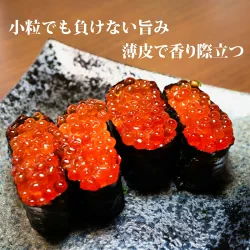 鱒いくら醤油漬け500g/小粒だけど旨みはたっぷり/イクラ/数量限定/鱒/お歳暮/冬/ギフト/