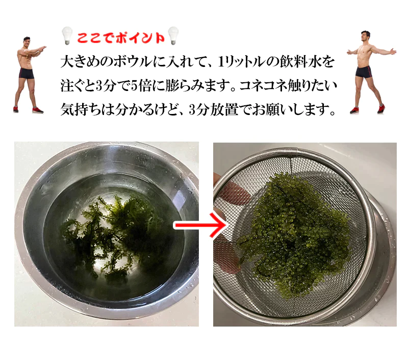 海ぶどう 5倍に膨らむ大容量 x10パック 20袋