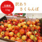 さくらんぼ 佐藤錦 1kg 山形県産 家庭用 果物 フルーツ