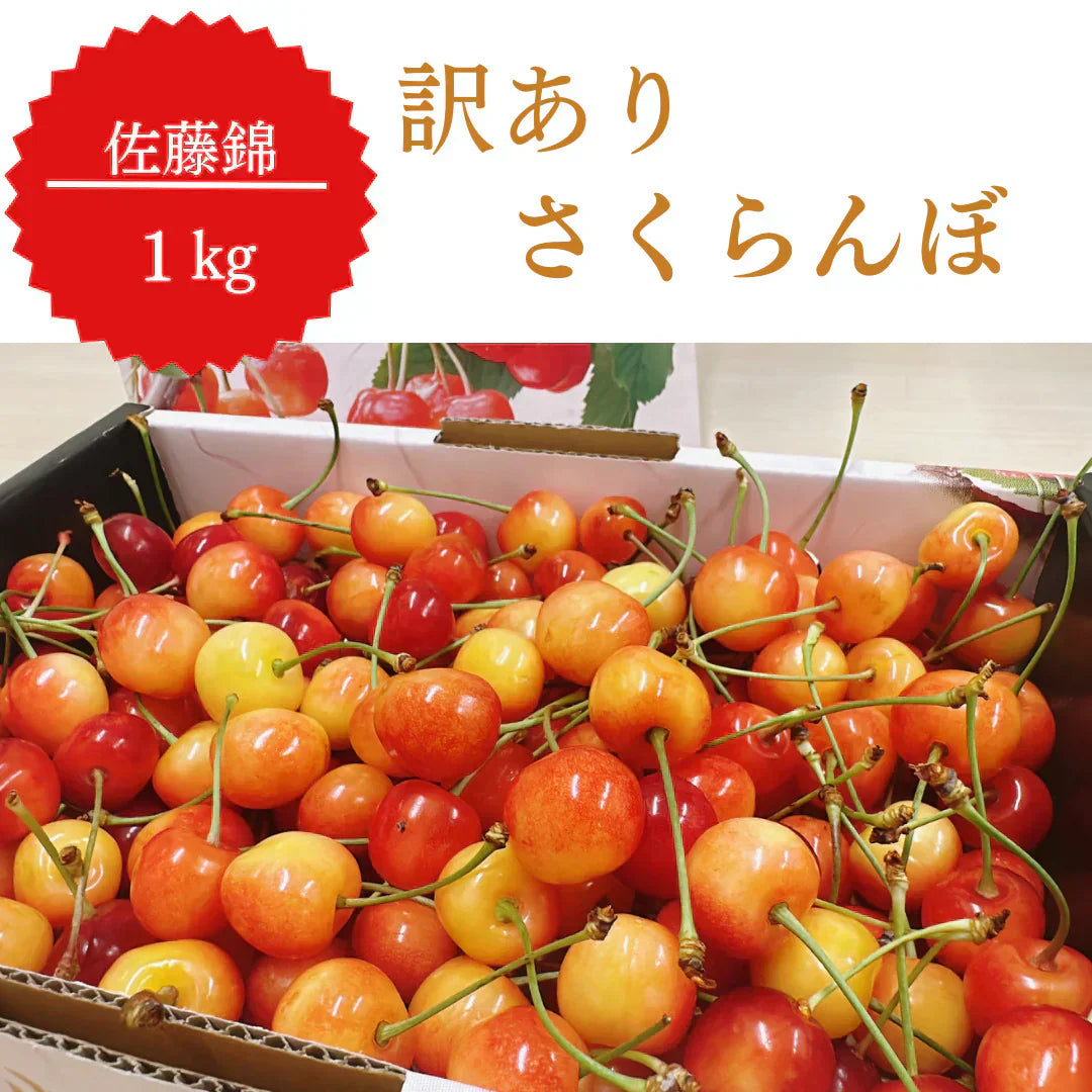 さくらんぼ 佐藤錦 1kg 山形県産 家庭用 果物 フルーツ