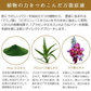 エビス〔ebis〕エクセレントバイオEX100(10mL)プラセンタ原液 原液【BD】メール便で【送料無料】美容液原液メB