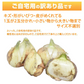 玉ねぎ サラダ玉ねぎ 訳あり 送料無料 10kg 箱込 (内容量9kg+不良補償分500g)  2S〜3L 熊本県産 お取り寄せ お取り寄せグルメ 玉葱 たまねぎ 野菜