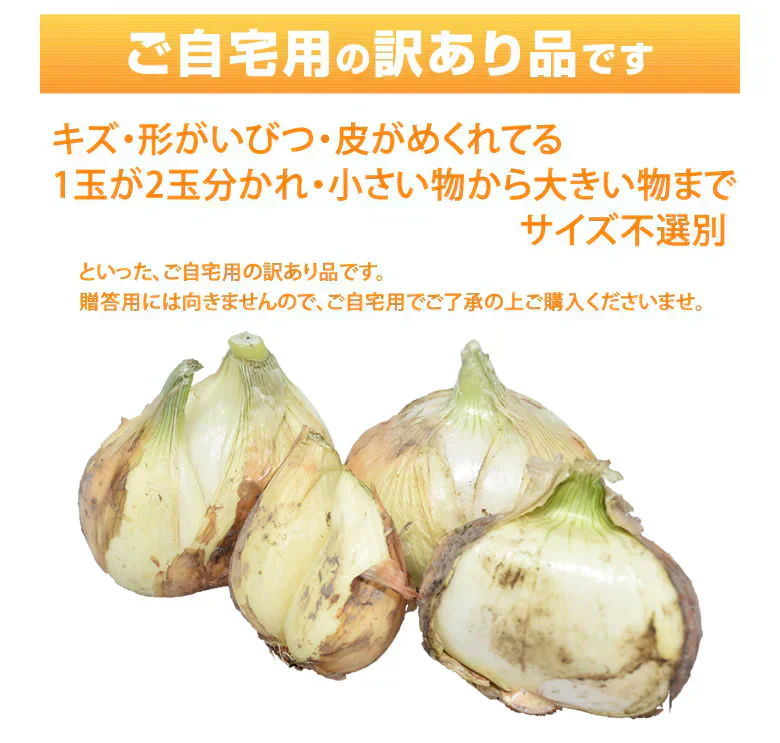玉ねぎ サラダ玉ねぎ 訳あり 送料無料 10kg 箱込 (内容量9kg+不良補償分500g)  2S〜3L 熊本県産 お取り寄せ お取り寄せグルメ 玉葱 たまねぎ 野菜