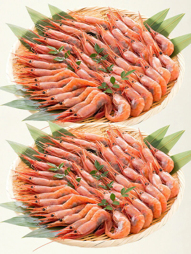 甘えび 越前産 甘エビ 子持ち 1kg（500g×2箱）約80尾入り 刺身用［送料無料］ 甘海老 子持ち甘エビ 海鮮 食べ物 魚介 水産 冷凍 お徳用 祝い 海老 えび エビ 刺身 ごちそう 贈り物 贈答 食品ギフト 国内 国産 母の日 プレゼント ギフト  母の日思いの 実用的 父の日 子供