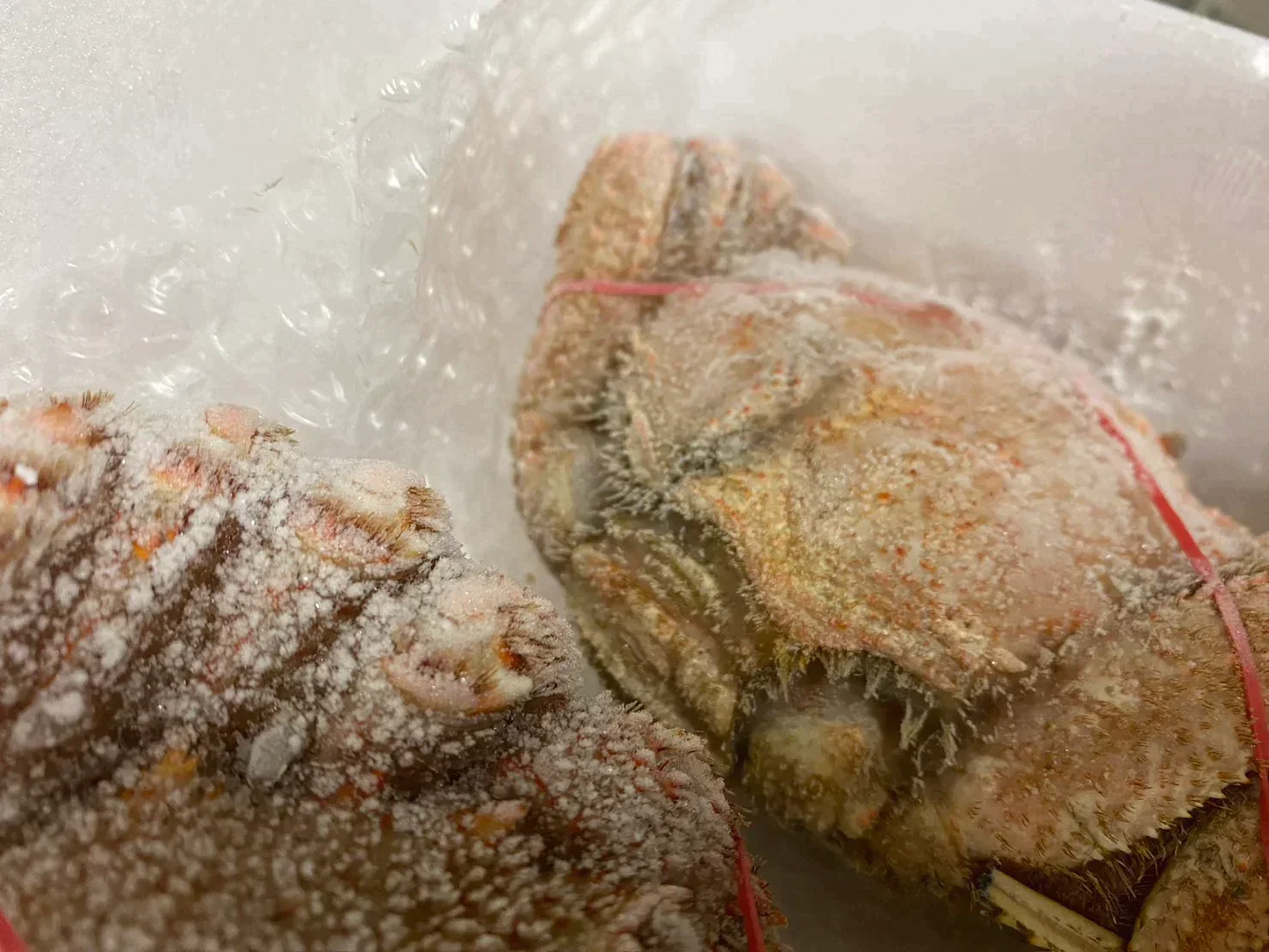 北海道産毛蟹 2尾パック 1尾あたり400~600g