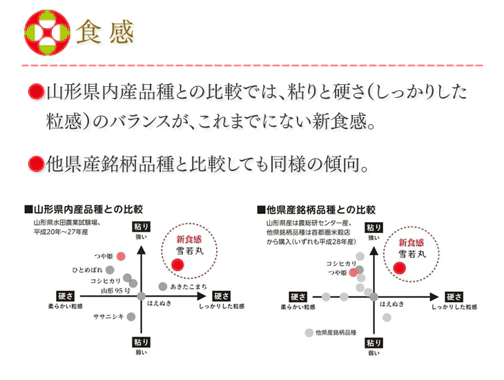 新米 令和5年産 山形県産 雪若丸 精米 10kg(5kg×2) 送料無料※一部地域を除く