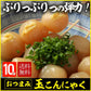 【6ヶ入×10パック】味付き 玉こんにゃく 国産 送料無料