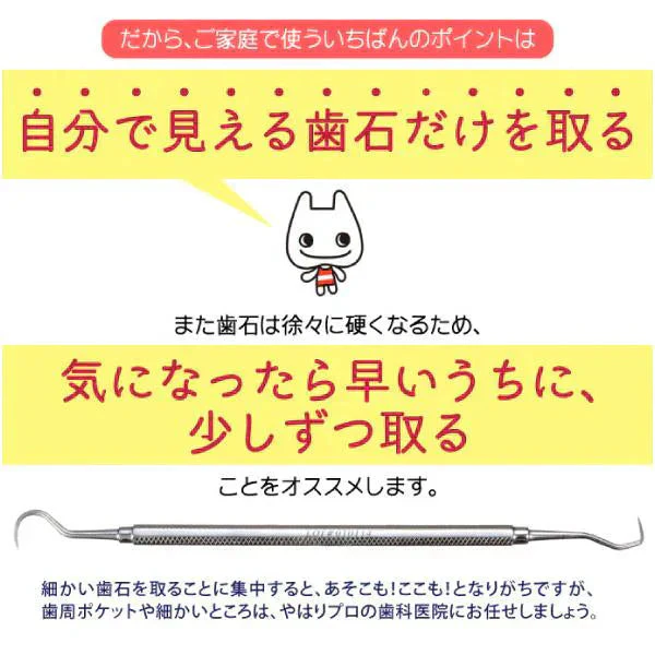 歯石取り 歯石除去 ヤニ取り 歯科専売 両頭鎌型スケーラー H5-33 1本 ／ 実際に歯科医院で使用されているプロ仕様！ 【メール便送料無料】