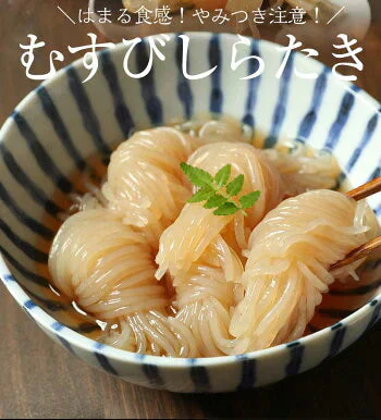 【5ヶ入×3パック】むすび白滝 糸こんにゃく 国産 送料無料