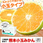 小玉 みかん 訳あり 送料無料 1.5kg 小粒 ミカン 柑橘 熊本 極早生 3s-sサイズ 家庭用 7-14営業日以内に出荷予定(土日祝除く)【ご新規さん限定商品】