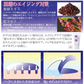 藍と紫根のおでこパック【おでこ 額 しわ 横じわ パック エイジングケア 保湿】藍紫根 おでこ集中ケアパック 日本製 額専用フェイスパック 30g 藍エキス 紫根エキス配合 ピールオフパック 保湿 スキンケア ハリ・うるおいケア 乾燥による肌悩みにアプローチ 額の集中美容ケアパック はがすタイプのスペシャルケア フェイスケア 美容パック 顔パック エイジングケア※スキンケア